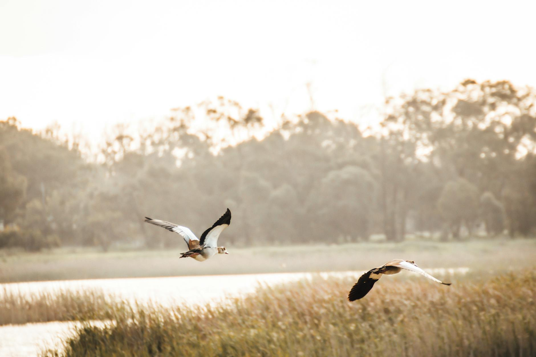 Teach Me How to Live