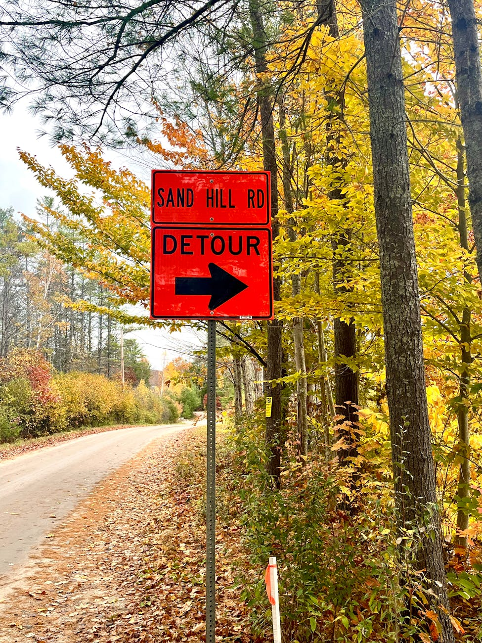 road sign with an arrow on the side of a road in a forest
