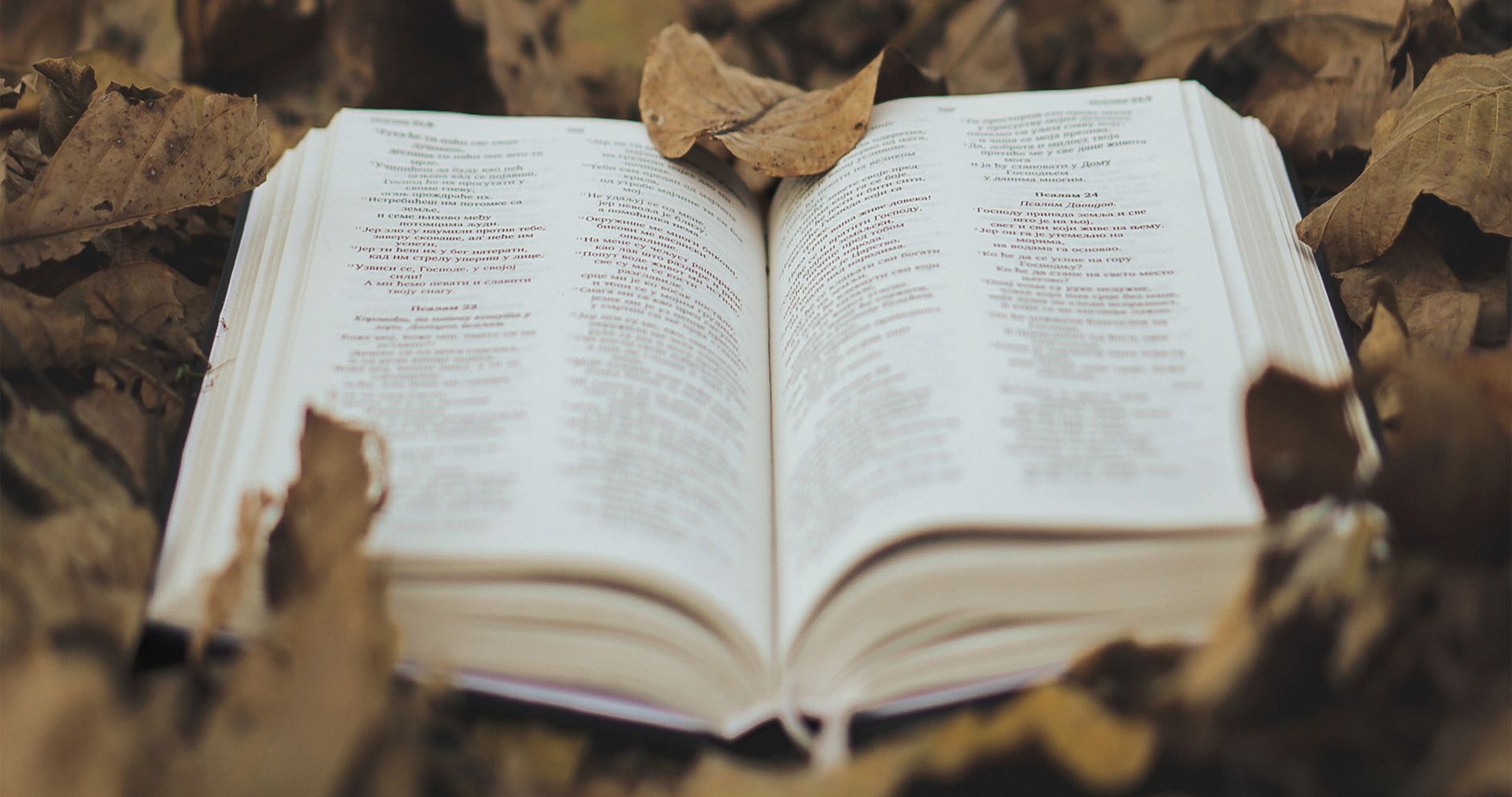 His Unchanging Word In Every Uncertain Moment